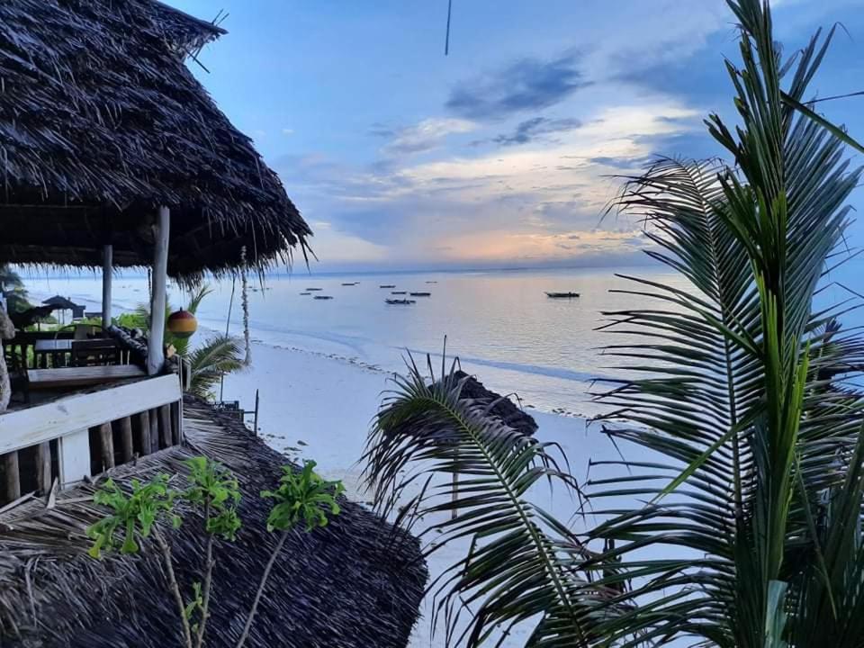 Sweet Beach Apartments Jambiani  Exterior photo